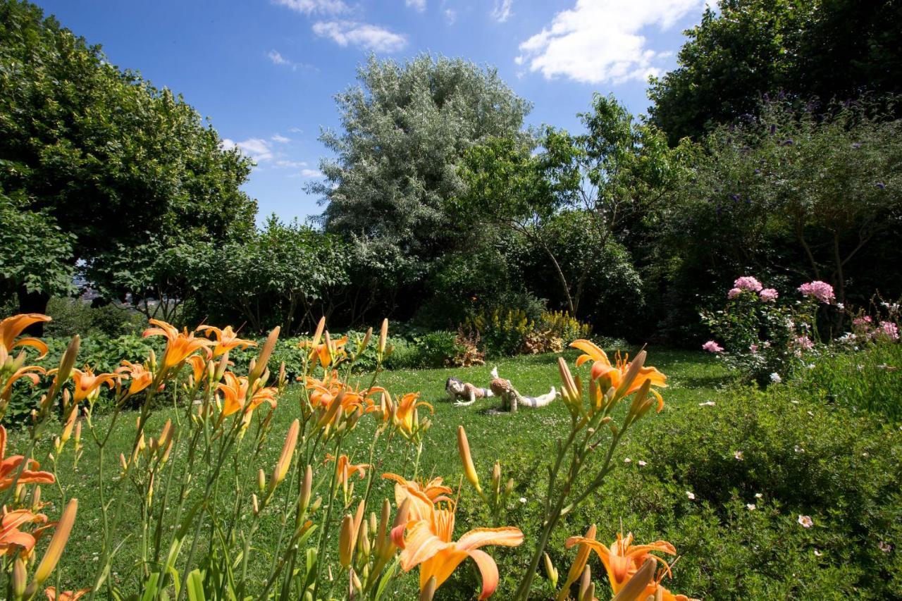 Maisons Les Tilleuls, Les Pins Et Les Lilas * Beaune (Cote d'Or)